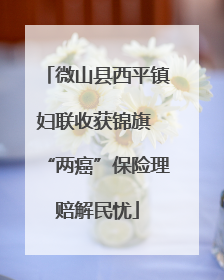 微山县西平镇妇联收获锦旗 “两癌”保险理赔解民忧