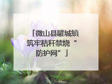 微山县驩城镇筑牢秸秆禁烧“防护网”