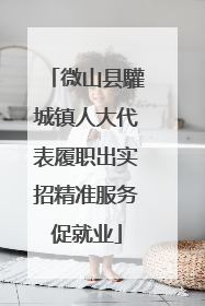 微山县驩城镇人大代表履职出实招精准服务促就业