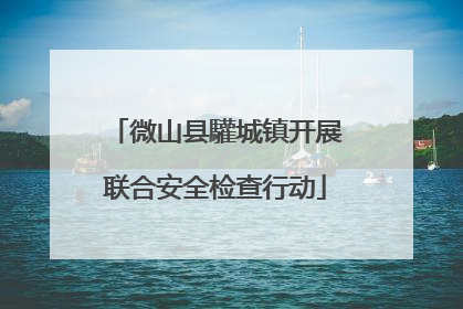 微山县驩城镇开展联合安全检查行动