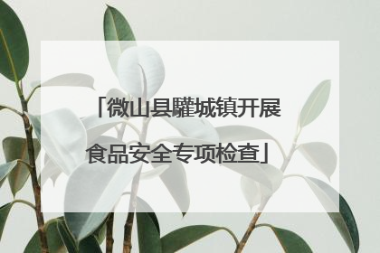 微山县驩城镇开展食品安全专项检查
