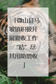 微山县马坡镇积极开展夏收工作 “秸”尽其用助增收