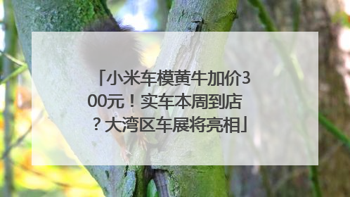 小米车模黄牛加价300元！实车本周到店？大湾区车展将亮相