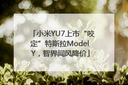 小米YU7上市“咬定”特斯拉Model Y，智界闻风降价