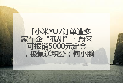 小米YU7订单遭多家车企“截胡”：蔚来可报销5000元定金，极氪送积分；何小鹏下单YU7，喊话雷军早点交付