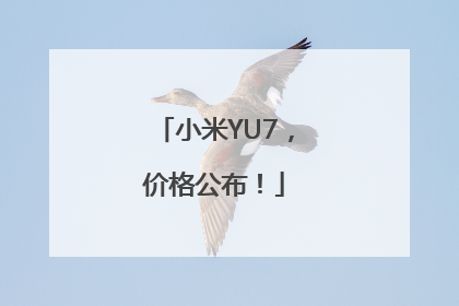 小米YU7，价格公布！