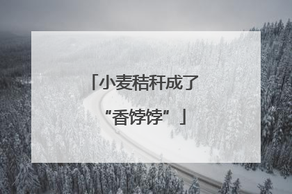 小麦秸秆成了“香饽饽”