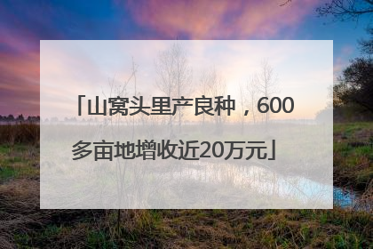 山窝头里产良种，600多亩地增收近20万元