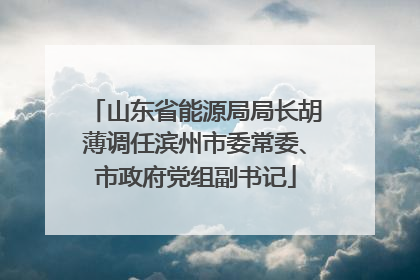山东省能源局局长胡薄调任滨州市委常委、市政府党组副书记