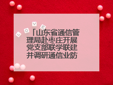 山东省通信管理局赴枣庄开展党支部联学联建并调研通信业防汛准备工作
