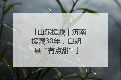 山东援藏｜济南援藏30年，白朗县“有点甜”