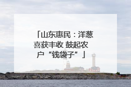 山东惠民：洋葱喜获丰收 鼓起农户“钱袋子”