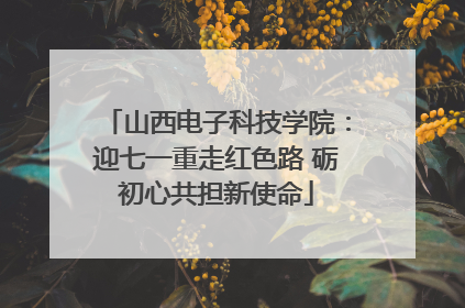 山西电子科技学院：迎七一重走红色路 砺初心共担新使命