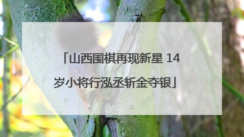 山西围棋再现新星 14岁小将行泓丞斩金夺银