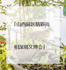 山西展区精彩亮相深圳文博会