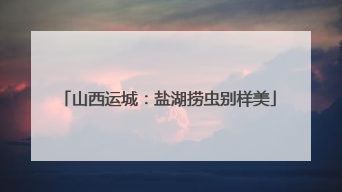 山西运城：盐湖捞虫别样美