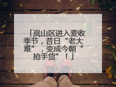 岚山区进入麦收季节，昔日“老大难”，变成今朝“抢手货”！
