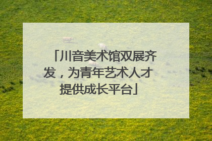 川音美术馆双展齐发，为青年艺术人才提供成长平台