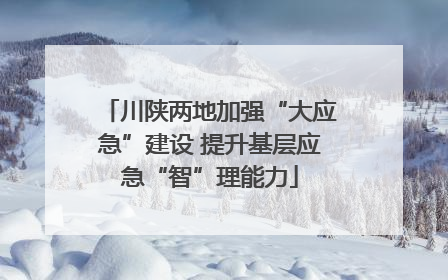 川陕两地加强“大应急”建设 提升基层应急“智”理能力
