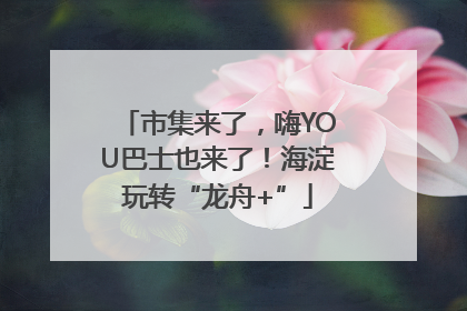 市集来了，嗨YOU巴士也来了！海淀玩转“龙舟+”