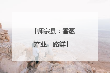 师宗县：香葱产业一路鲜