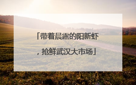 带着晨露的阳新虾，抢鲜武汉大市场