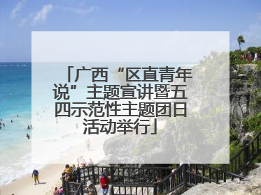 广西“区直青年说”主题宣讲暨五四示范性主题团日活动举行