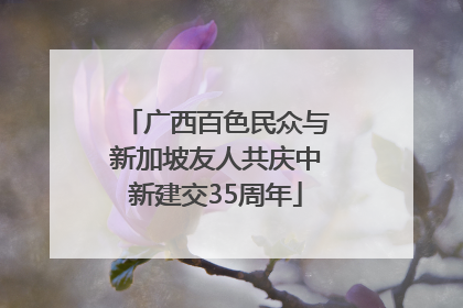 广西百色民众与新加坡友人共庆中新建交35周年