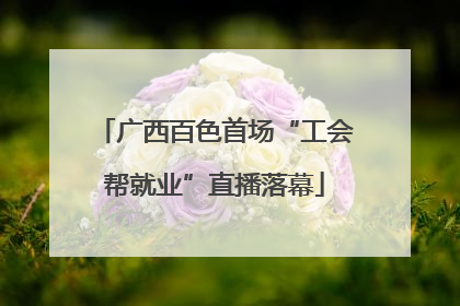 广西百色首场“工会帮就业”直播落幕