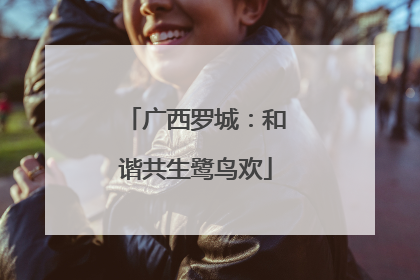 广西罗城：和谐共生鹭鸟欢