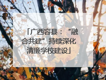 广西容县：“融合共建”持续深化清廉学校建设