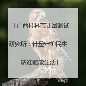 广西桂林市计量测试研究所：计量守护民生 精准赋能生活