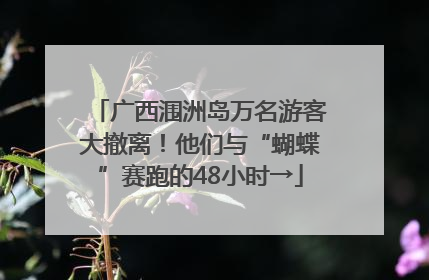 广西涠洲岛万名游客大撤离！他们与“蝴蝶”赛跑的48小时→