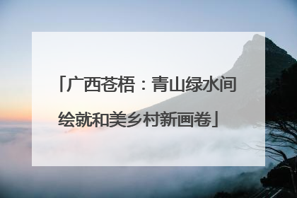 广西苍梧：青山绿水间绘就和美乡村新画卷