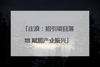 庄浪：招引项目落地 赋能产业振兴