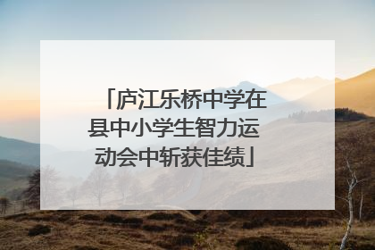 庐江乐桥中学在县中小学生智力运动会中斩获佳绩