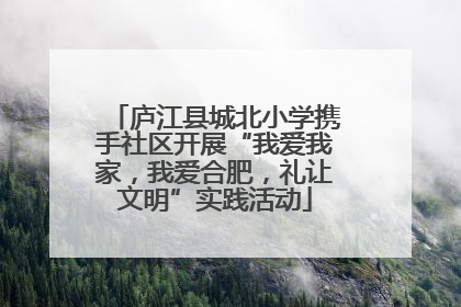 庐江县城北小学携手社区开展“我爱我家，我爱合肥，礼让文明”实践活动
