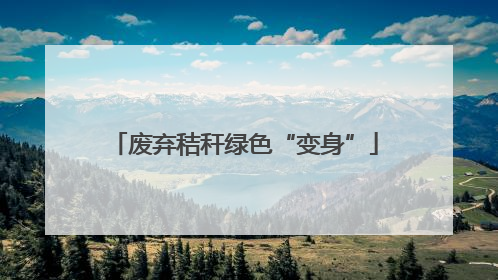 废弃秸秆绿色“变身”