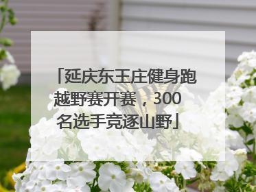延庆东王庄健身跑越野赛开赛，300名选手竞逐山野