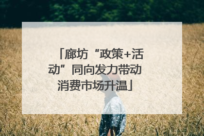 廊坊“政策+活动”同向发力带动消费市场升温