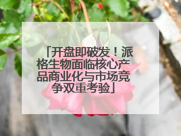 开盘即破发！派格生物面临核心产品商业化与市场竞争双重考验