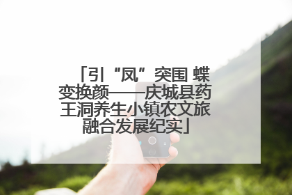 引“凤”突围 蝶变换颜——庆城县药王洞养生小镇农文旅融合发展纪实
