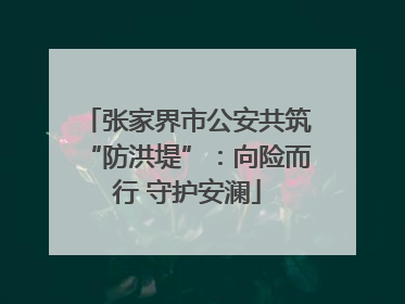 张家界市公安共筑“防洪堤”：向险而行 守护安澜