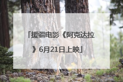 援疆电影《阿克达拉》6月21日上映