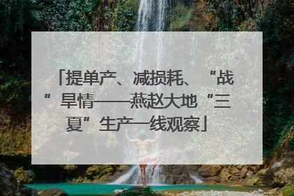 提单产、减损耗、“战”旱情——燕赵大地“三夏”生产一线观察