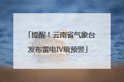 提醒！云南省气象台发布雷电Ⅳ级预警