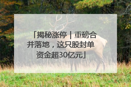 揭秘涨停｜重磅合并落地，这只股封单资金超30亿元