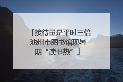 接待量是平时三倍 池州市图书馆现暑期“读书热”