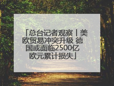 总台记者观察丨美欧贸易冲突升级 德国或面临2500亿欧元累计损失