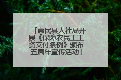 惠民县人社局开展《保障农民工工资支付条例》颁布五周年宣传活动